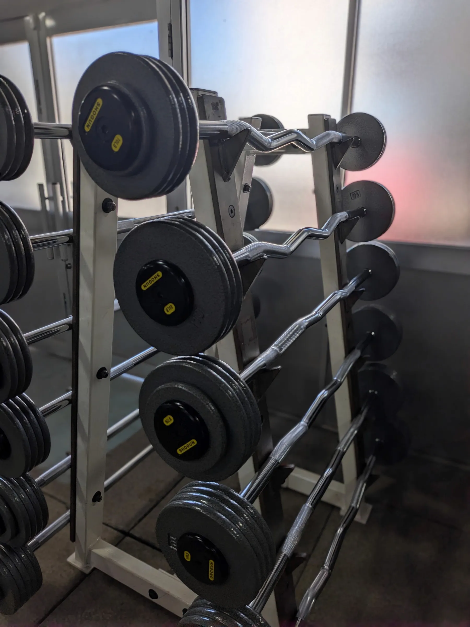 EZ-bar and fixed barbell racks at Iron Shogun