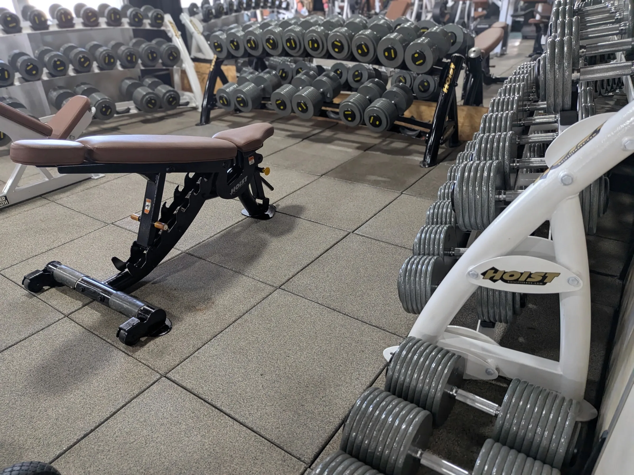Dumbbell racks and benches on the Iron Shogun floor